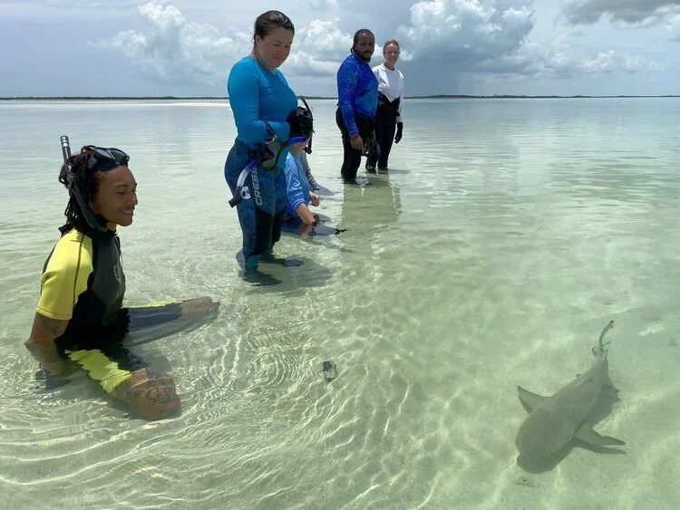 Saving+the+Blue+-+501+c+3+-+Non+profit+-+Nonprofit+-+Not+for+Profit+-+BRUV+-+Sharks+-+Shark+-+Hammerhead+-+The+Bahamas+-+Andros+-+Minority+-+Marine+Biology+-+Shark+Research+-+Equality+-+Sponsorship.webp