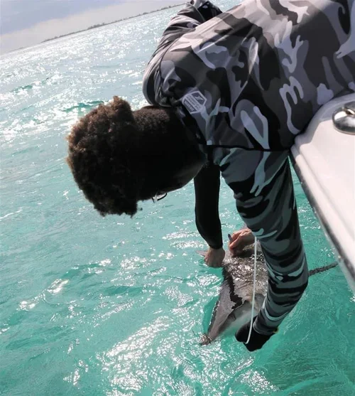 Saving+the+Blue+-+501+c+3+-+Non+profit+-+Nonprofit+-+Not+for+Profit+-+BRUV+-+Sharks+-+Shark+-+Hammerhead+-+The+Bahamas+-+Andros+-+Minority+-+Marine+Biology+-+Shark+Research+-+Equality+-+Sponsorship+-+BAMSI (1).webp
