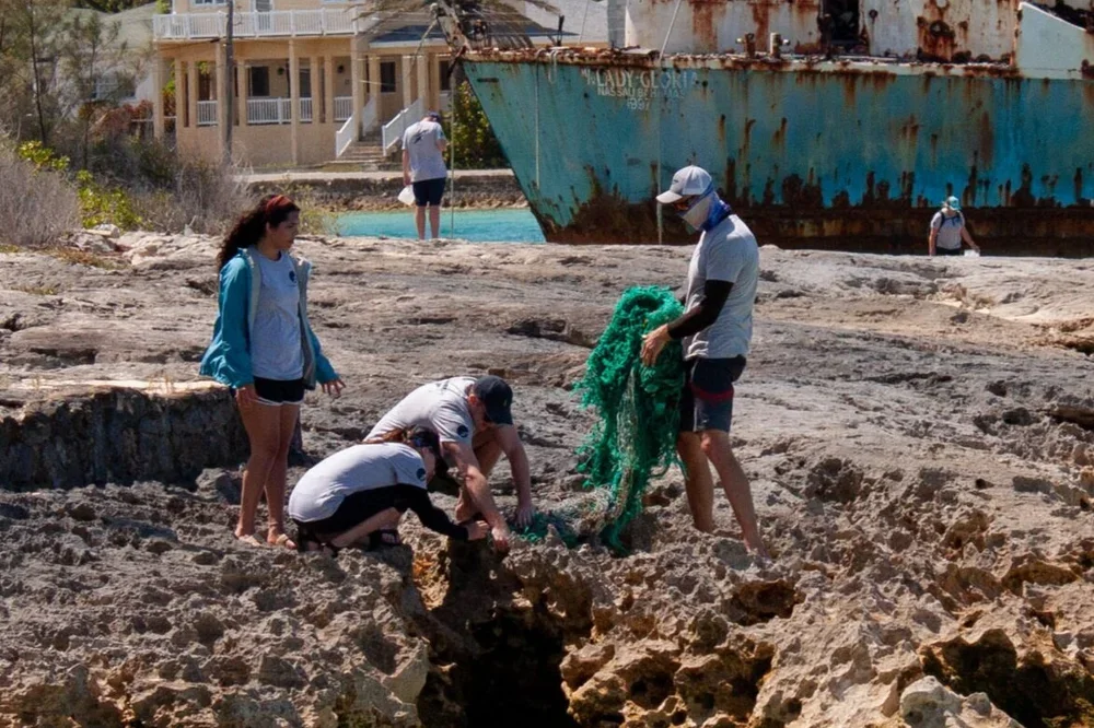 Saving+the+Blue+-+501+c+3+-+Non+profit+-+Nonprofit+-+Not+for+Profit+-+Beach+Clean+-+Clean+up+-+Hannah+Testa+-+Hannah+4+Change+-+Sharks+-+Shark+-+Green+Living+-+The+Bahamas+-+Andros+-+Environment++-+Marine+Biology+-+Shark+Research+-+Nat (1).webp
