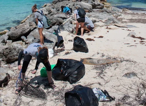 Saving+the+Blue+-+501+c+3+-+Non+profit+-+Nonprofit+-+Not+for+Profit+-+Beach+Clean+-+Clean+up+-+Trash+-+Sharks+-+Shark+-+Green+Living+-+The+Bahamas+-+Andros+-+Environment++-+Marine+Biology+-+Marine+Bio+-+Earth+Breeze+-+Nature.webp