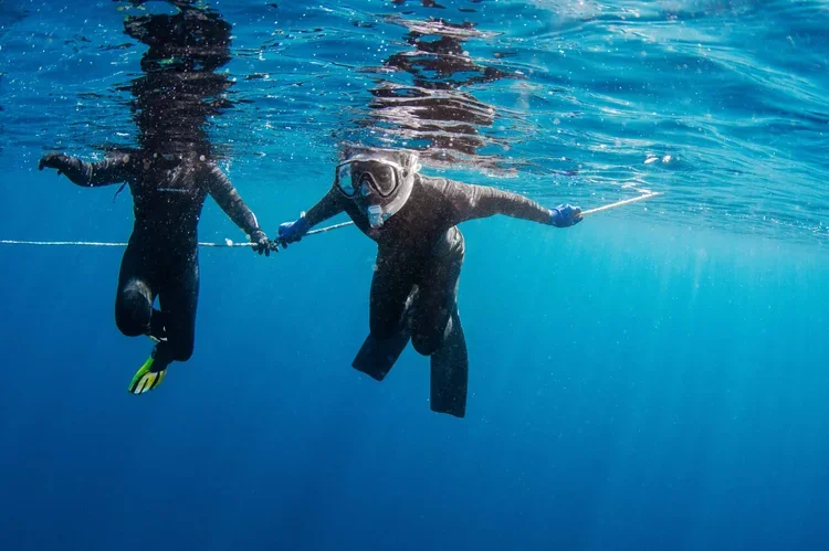 Saving+the+Blue+-+501+c+3+-+Non+profit+-+Nonprofit+-+Not+for+Profit+-+BRUV+-+Sharks+-+Shark+-+Hammerhead+-+The+Bahamas+-+Andros+-+Minority+-+Marine+Biology+-+Shark+Research+-+Equality+-+Sponsorship (1).webp