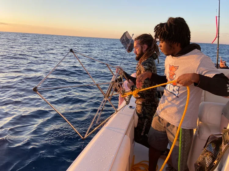 Saving+the+Blue+-+501+c+3+-+Non+profit+-+Nonprofit+-+Not+for+Profit+-+BRUV+-+Sharks+-+Shark+-+Hammerhead+-+The+Bahamas+-+Andros+-+Minority+-+Marine+Biology+-+Shark+Research+-+Equality+-+Sponsorship.webp
