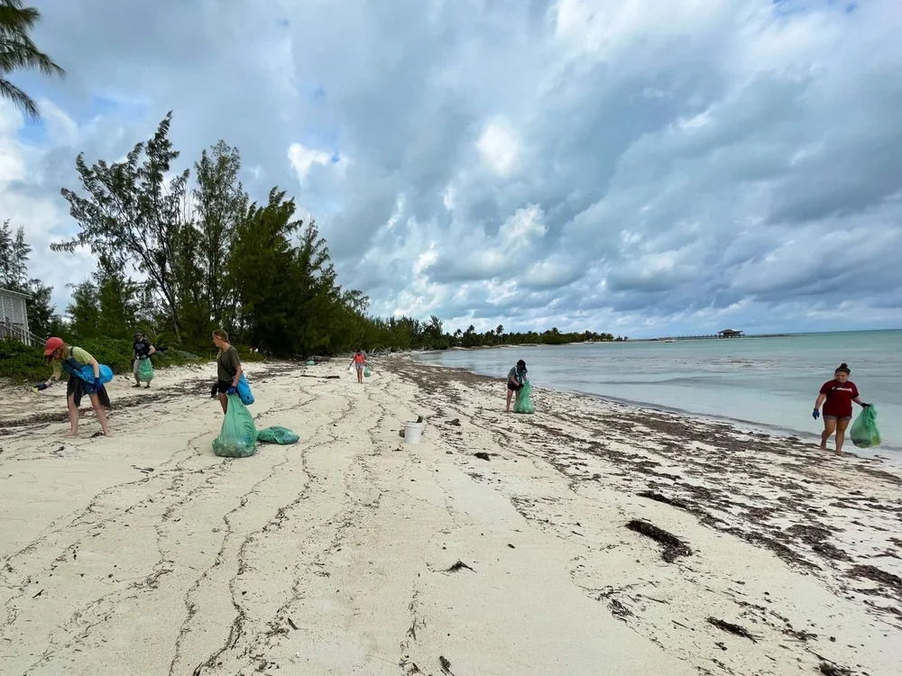 Saving+the+Blue+-+501+c+3+-+Non+profit+-+Nonprofit+-+Not+for+Profit+-+Beach+Clean+-+Clean+up+-+Trash+-+Sharks+-+Shark+-+Green+Living+-+The+Bahamas+-+Andros+-+Environment++-+Marine+Biology+-+Marine+Bio+-+Shark+Research+-+Nature (1).webp