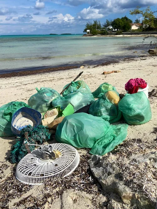 Saving+the+Blue+-+501+c+3+-+Non+profit+-+Nonprofit+-+Not+for+Profit+-+Beach+Clean+-+Clean+up+-+Trash+-+Sharks+-+Shark+-+Green+Living+-+The+Bahamas+-+Andros+-+Environment++-+Marine+Biology+-+Marine+Bio+-+Shark+Research+-+Nature (2).webp