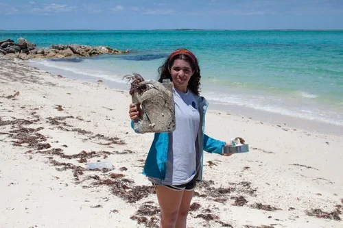 Saving+the+Blue+-+501+c+3+-+Non+profit+-+Nonprofit+-+Not+for+Profit+-+Beach+Clean+-+Clean+up+-+Hannah+Testa+-+Hannah+4+Change+-+Sharks+-+Shark+-+Green+Living+-+The+Bahamas+-+Andros+-+Environment++-+Marine+Biology+-+Shark+Research+-+Nature.webp