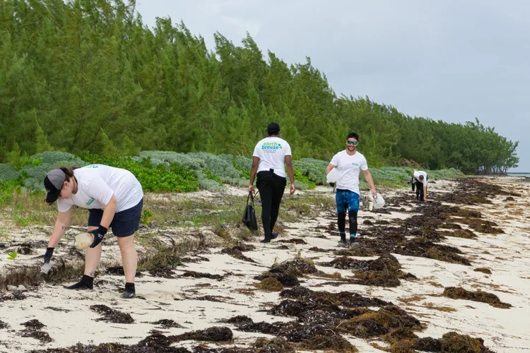 Saving+the+Blue+-+501+c+3+-+Non+profit+-+Nonprofit+-+Not+for+Profit+-+Beach+Clean+-+Clean+up+-+Trash+-+Sharks+-+Shark+-+Green+Living+-+The+Bahamas+-+Andros+-+Environment++-+Marine+Biology+-+Marine+Bio+-+Earth+Breeze+-+Nature (1).webp