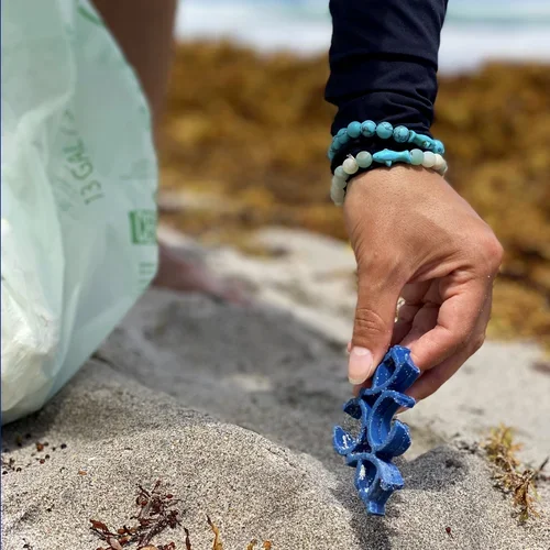 Saving+the+Blue+-+501+c+3+-+Non+profit+-+Nonprofit+-+Not+for+Profit+-+Beach+Clean+-+Clean+up+-+Trash+-+Sharks+-+Shark+-+Green+Living+-+Florida+-+USA+-+Environment++-+Marine+Biology+-+Marine+Bio+-+Micro+Plastics+-+Plastic+Pollution+-+Na (2).webp