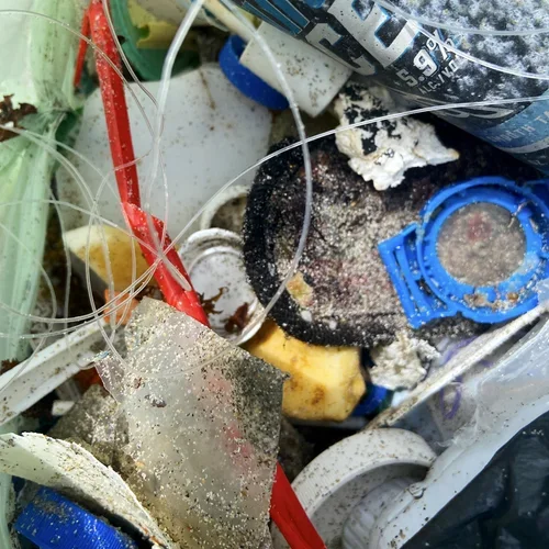 Saving+the+Blue+-+501+c+3+-+Non+profit+-+Nonprofit+-+Not+for+Profit+-+Beach+Clean+-+Clean+up+-+Trash+-+Sharks+-+Shark+-+Green+Living+-+Florida+-+USA+-+Environment++-+Marine+Biology+-+Marine+Bio+-+Micro+Plastics+-+Plastic+Pollution+-+Nature.webp