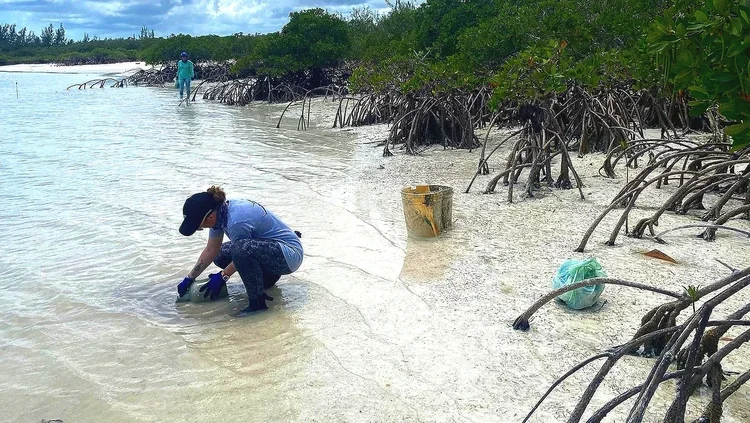 Saving+the+Blue+-+501+c+3+-+Non+profit+-+Nonprofit+-+Not+for+Profit+-+Beach+Clean+-+Clean+up+-+Trash+-+Sharks+-+Shark+-+Green+Living+-+The+Bahamas+-+Andros+-+Environment++-+Marine+Biology+-+Marine+Bio+-+Nature.webp