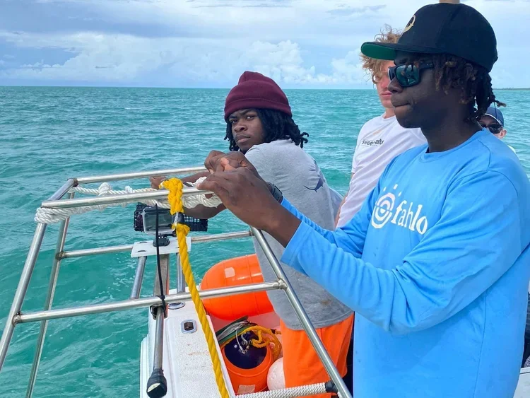 Saving+the+Blue+-+501+c+3+-+Non+profit+-+Nonprofit+-+Not+for+Profit+-+BRUV+-+Sharks+-+Shark+-+The+Bahamas+-+Andros+-+Marine+Biology+-+Shark+Research+-+Equality+-+Sponsorship+-+BAMSI+-+The+Bahamas+Agriculture+and+Marine+Science (2).webp