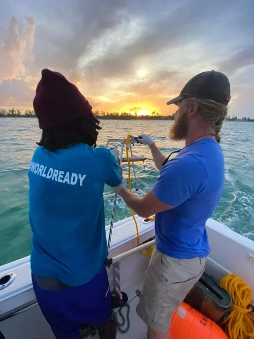 Saving+the+Blue+-+501+c+3+-+Non+profit+-+Nonprofit+-+Not+for+Profit+-+BRUV+-+Sharks+-+Shark+-+The+Bahamas+-+Andros+-+Marine+Biology+-+Shark+Research+-+Equality+-+Sponsorship+-+BAMSI+-+The+Bahamas+Agriculture+and+Marine+Science (3).webp