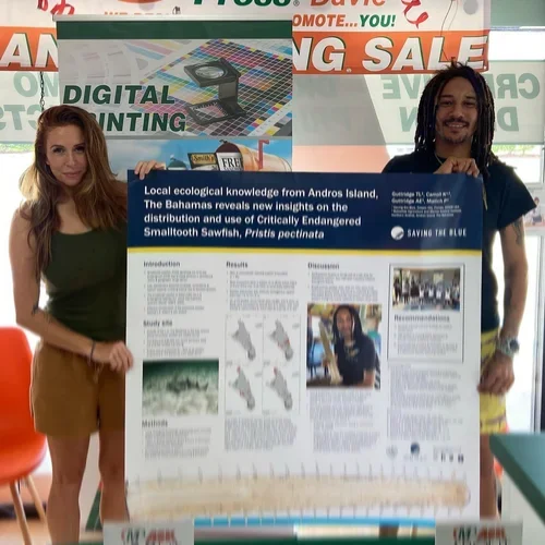 Saving+the+Blue+-+501+c+3+-+Non+profit+-+Nonprofit+-+Not+for+Profit+-+BRUV+-+Sharks+-+Shark+-+The+Bahamas+-+Andros+-+Marine+Biology+-+Shark+Research+-+Sawfish+-+Sponsorship+-+BAMSI+-+The+Bahamas+Agriculture+and+Marine+Science+-+Smallto (2).webp
