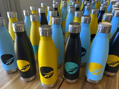 Saving+the+Blue+-+Nonprofit+-+Florida+-+The+Bahamas+-+501+c+3+-+not+for+profit+-+Miami+-+Fort+Lauderdale+-+Research+-+Marine+Biology+-+Shark+-+Sharks+-+Reusable+-+Recycle+-+Green+Living+-+Ocean+-+Sea+-+Sawfish+-+Donation+-+Donate+-+Outreac.webp