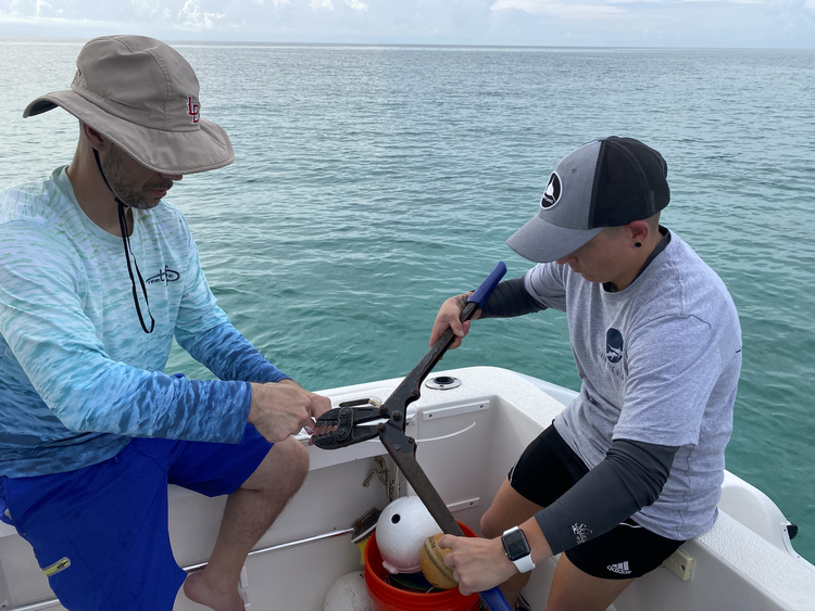 Saving+the+Blue+-+Nonprofit+-+The+Bahamas+-+Andros+Island+-+Research+-+Marine+Biology+-+Shark+-+Sharks+-+Outreach+-+Educate+-+Education+-+Veteran+-+Minority+-+Army+-+Military (1).webp