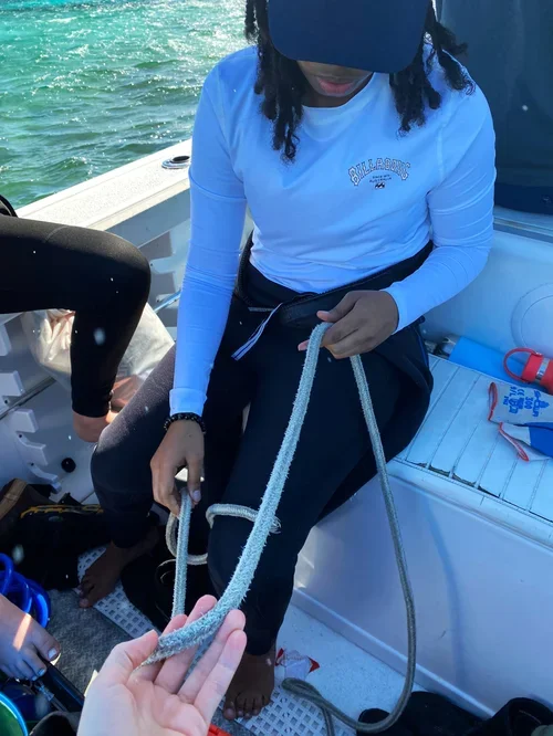 Saving+the+Blue+-+501+c+3+-+Non+profit+-+Nonprofit+-+Not+for+Profit+-+BRUV+-+Sharks+-+Shark+-+The+Bahamas+-+Andros+-+Marine+Biology+-+Shark+Research+-+Equality+-+Sponsorship+-+BAMSI+-+The+Bahamas+Agriculture+and+Marine+Science (3).webp