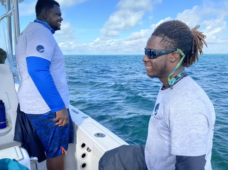 Saving+the+Blue+-+501+c+3+-+Non+profit+-+Nonprofit+-+Not+for+Profit+-+BRUV+-+Sharks+-+Shark+-+The+Bahamas+-+Andros+-+Marine+Biology+-+Shark+Research+-+Equality+-+Sponsorship+-+BAMSI+-+The+Bahamas+Agriculture+and+Marine+Science.webp