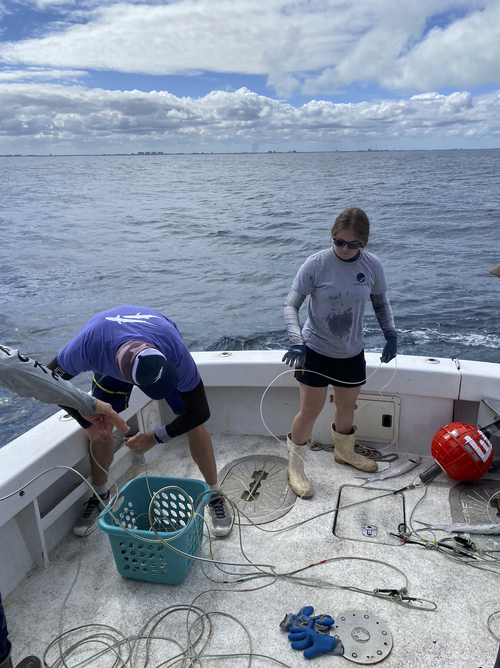 Saving+the+Blue+-+501+c+3+-+Non+profit+-+Nonprofit+-+Not+for+Profit+-+Sharks+-+Shark+-+Marine+Biology+-+Shark+Research+-+Equality+-+Sponsorship+-+Florida+-+Shark+Tagging+-+Shark+Tag+-+Jupiter+-+Florida+-+Mexico (1).webp