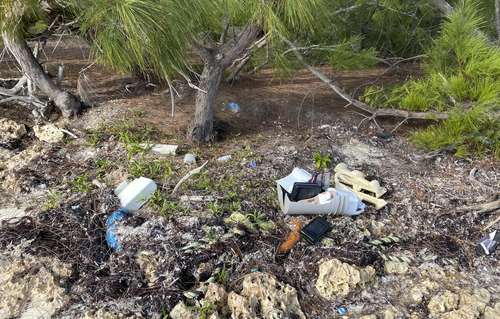 Saving+the+Blue+-+501+c+3+-+Non+profit+-+Nonprofit+-+Not+for+Profit+-+Beach+Clean+-+Clean+up+-+Trash+-+Green+Living+-+The+Bahamas+-+Andros+-+Environment++-+Pollution+-+Plastic+-+Single+Use+-+Nature+-+Three+for+the+Sea+-+Reuse+-+Recycle.webp