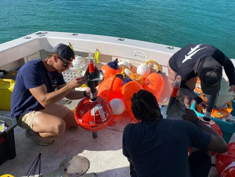 Saving+the+Blue+-+Andros+-+Bahamas+-+501+c+3+-+Non+profit+-+Nonprofit+-+Not+for+Profit+-+Sharks+-+Shark+-+Marine+Biology+-+Shark+Research+-+Equality+-+Sponsorship+-+Shark+Tagging+-+Shark+Tag+-+Andros+Island (3).webp