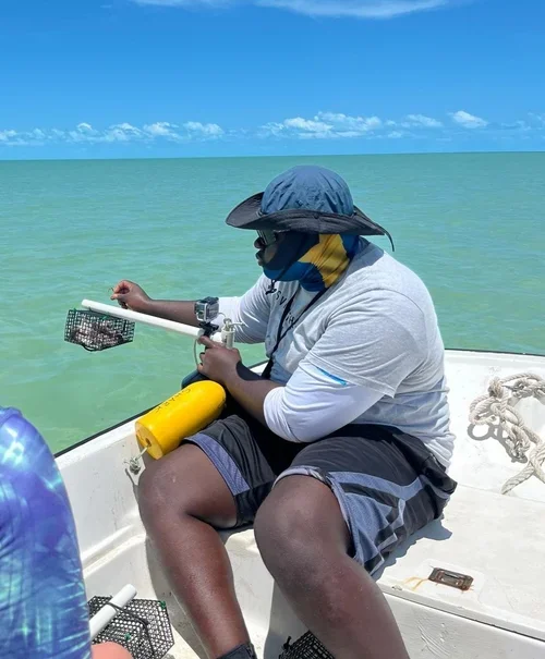 Saving+the+Blue+-+501+c+3+-+Nonprofit+-+Not+for+Profit+-+BRUV+-+The+Bahamas+-+Andros+-+Marine+Biology+-+Shark+Research+-+Equality+-+Sponsorship+-+BAMSI+-+The+Bahamas+Agriculture+and+Marine+Science+-+Sawfish+-+University+of+the+Bahamas+ (2).webp