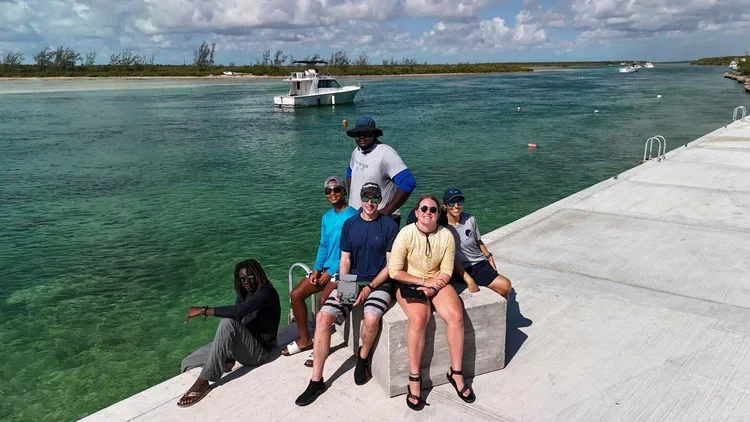 Saving+the+Blue+-+501+c+3+-+Nonprofit+-+Not+for+Profit+-+BRUV+-+The+Bahamas+-+Andros+-+Marine+Biology+-+Shark+Research+-+Equality+-+Sponsorship+-+BAMSI+-+The+Bahamas+Agriculture+and+Marine+Science+-+Sawfish+-+University+of+the+Bahamas+-+Sm.webp