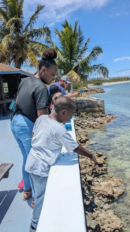 Saving+the+Blue+-+Annie+Guttridge+-+Nonprofit+-+The+Bahamas+-+Research+-+Marine+Biology+-+Sawfish+-+Smalltooth+Sawfish+-+School+Visit+-+Outreach+-+Education+-+Which+Faces+Belong+In+These+Places+-+Annies+Book+-+501c3+-+donation+-+donate+-+K.webp
