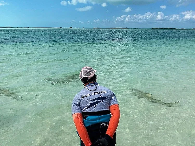 Saving+the+Blue+-+501+c+3+-+Nonprofit+-+Not+for+Profit+-+BRUV+-+The+Bahamas+-+Andros+-+Marine+Biology+-+Shark+Research+-+Equality+-+Sponsorship+-+BAMSI+-+The+Bahamas+Agriculture+and+Marine+Science+-+Sawfish+-+Smalltooth+Sawfish+-+Outre (3).webp