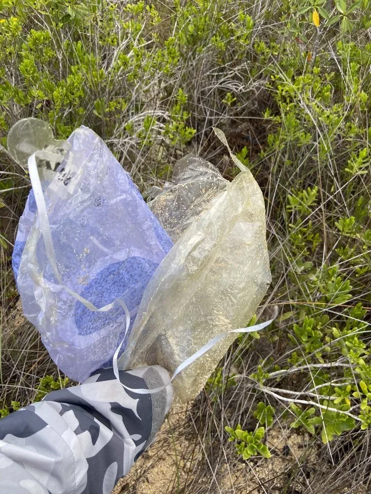 Saving+the+Blue+-+501+c+3+-+Non+profit+-+Nonprofit+-+Not+for+Profit+-+Beach+Clean+-+Clean+up+-+Trash+-+Green+Living+-+The+Bahamas+-+Andros+-+Environment++-+Pollution+-+Plastic+-+Single+Use+-+Nature+-+Three+for+the+Sea+-+Reuse+-+Recycle (4).webp