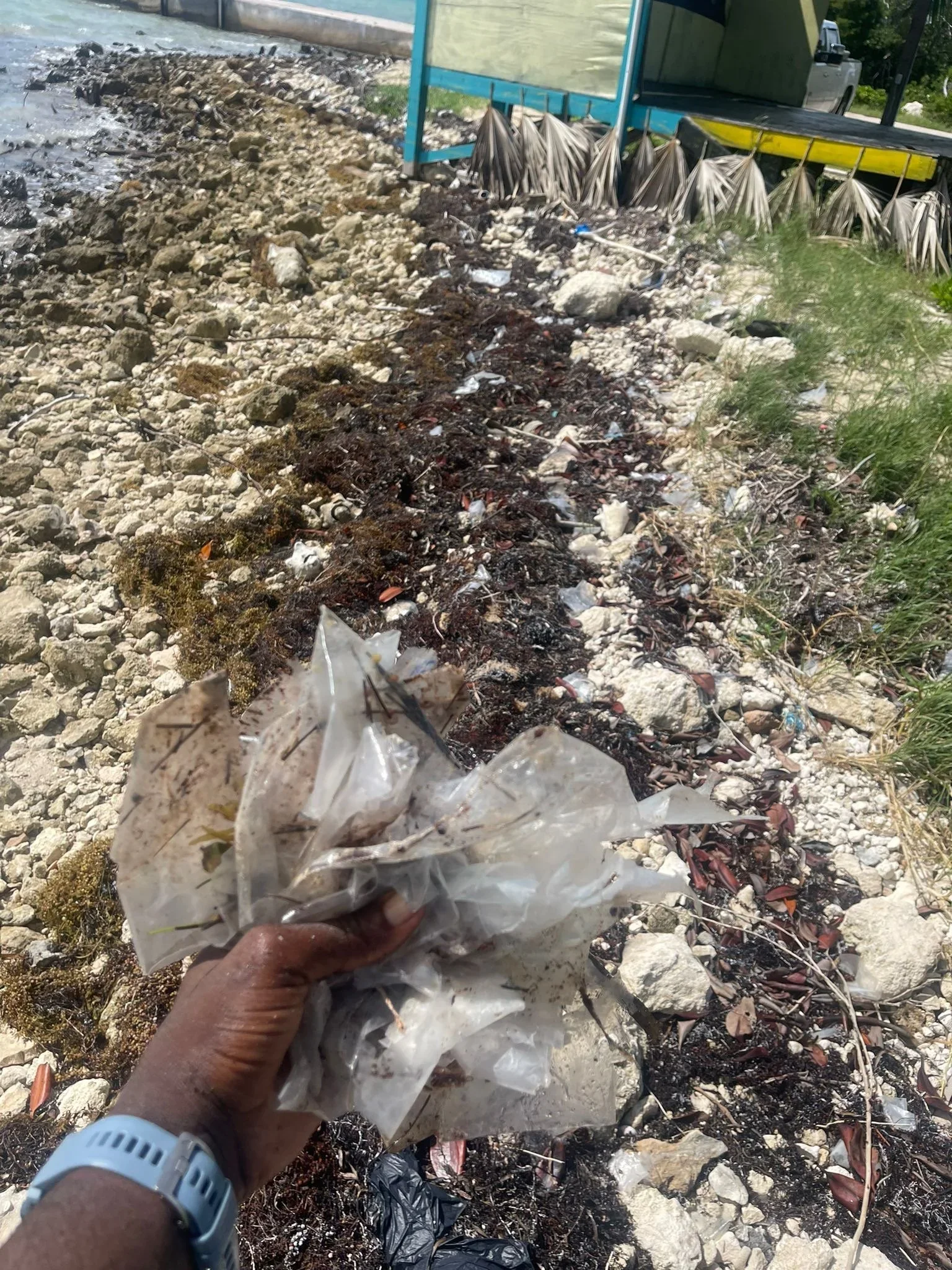 Saving+the+Blue+-+501+c+3+-+Non+profit+-+Nonprofit+-+Not+for+Profit+-+Beach+Clean+-+Clean+up+-+Trash+-+Green+Living+-+The+Bahamas+-+Andros+-+Environment++-+Pollution+-+Plastic+-+Single+Use+-+Nature+-+Three+for+the+Sea+-+Reuse+-+Recycle (2).webp