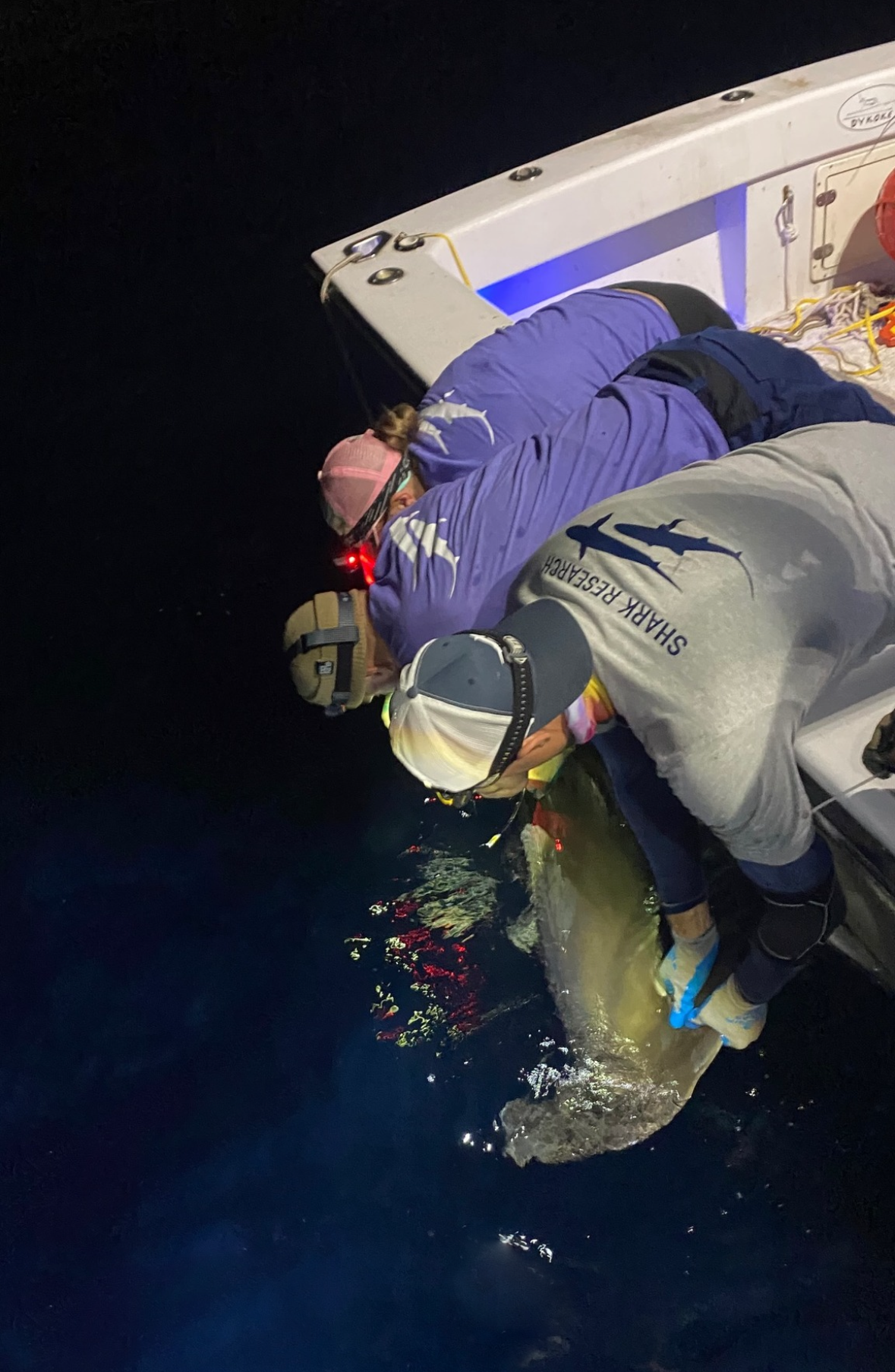 Saving+the+Blue+-+501+c+3+-+Non+profit+-+Nonprofit+-+Not+for+Profit+-+Sharks+-+Shark+-+Marine+Biology+-+Shark+Research+-+Equality+-+Sponsorship+-+Florida+-+Shark+Tagging+-+Shark+Tag+-+Jupiter+-+Florida (4).webp