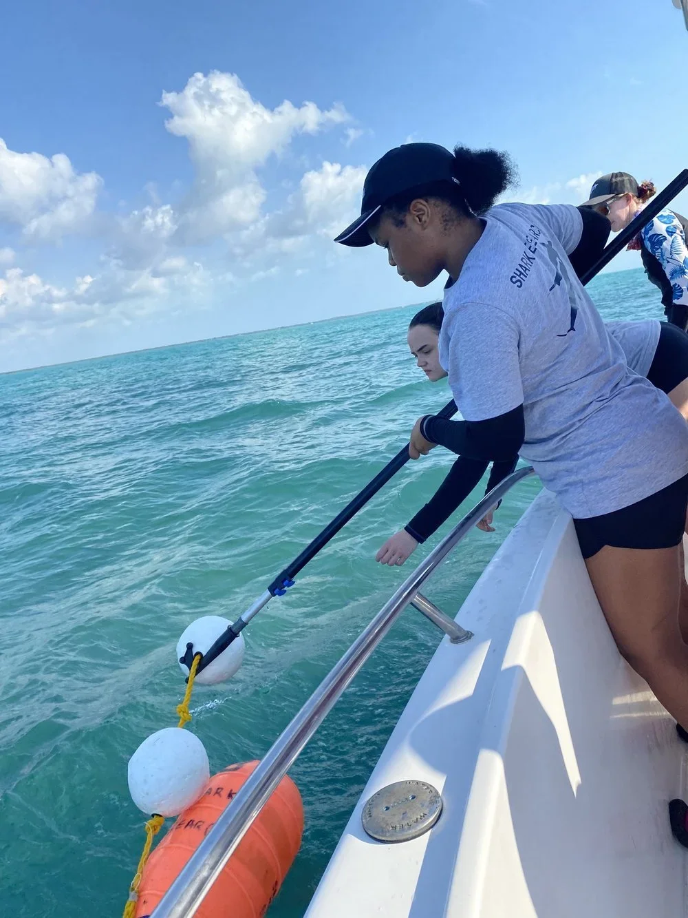 Saving+the+Blue+-+501+c+3+-+Nonprofit+-+Not+for+Profit+-+The+Bahamas+-+Andros+-+Marine+Biology+-+Shark+Research+-+Equality+-+Sponsorship+-+BAMSI+-+The+Bahamas+Agriculture+and+Marine+Science+-+University+of+the+Bahamas+-+Shark+Tagging+- (1).webp