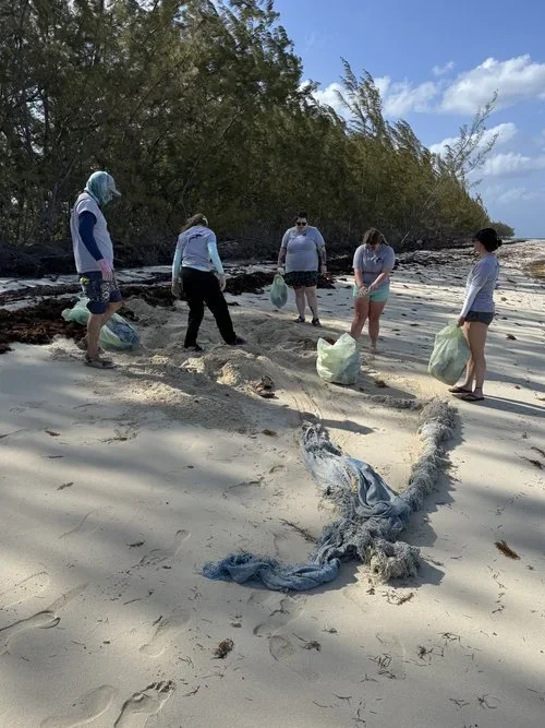 Saving+the+Blue+-+501+c+3+-+Non+profit+-+Nonprofit+-+Not+for+Profit+-+Beach+Clean+-+Clean+up+-+Trash+-+Green+Living+-+The+Bahamas+-+Andros+-+Environment++-+Pollution+-+Plastic+-+Single+Use+-+Nature+-+Three+for+the+Sea+-+Reuse+-+Recycle (1).webp