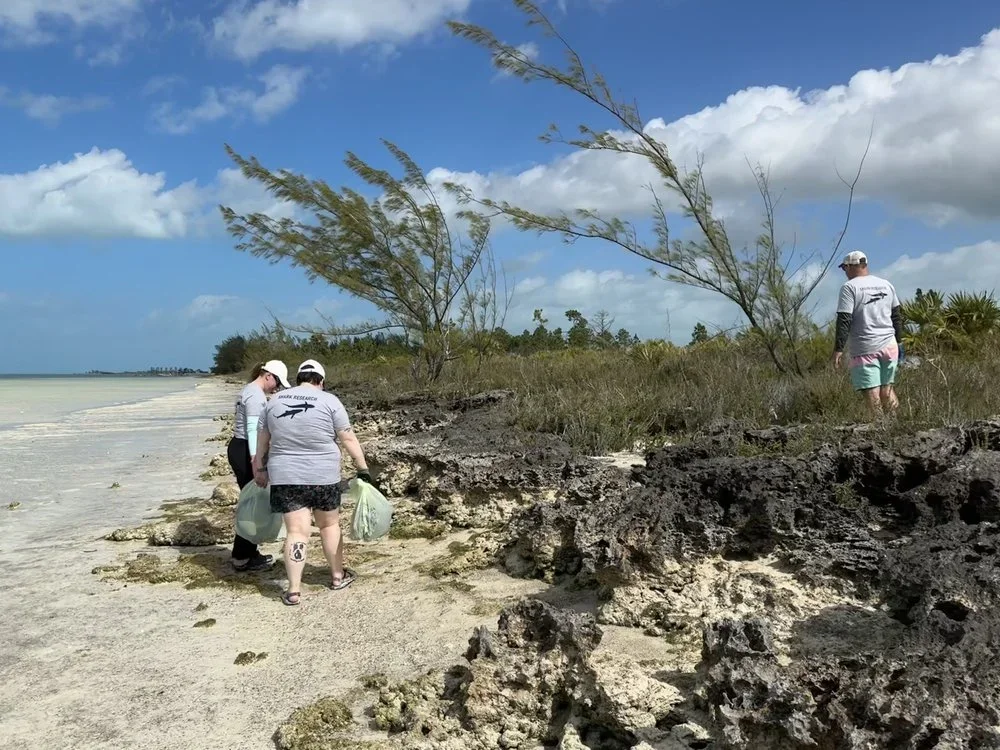 Saving+the+Blue+-+501+c+3+-+Non+profit+-+Nonprofit+-+Not+for+Profit+-+Beach+Clean+-+Clean+up+-+Trash+-+Green+Living+-+The+Bahamas+-+Andros+-+Environment++-+Pollution+-+Plastic+-+Single+Use+-+Nature+-+Three+for+the+Sea+-+Reuse+-+Recycle (3).webp
