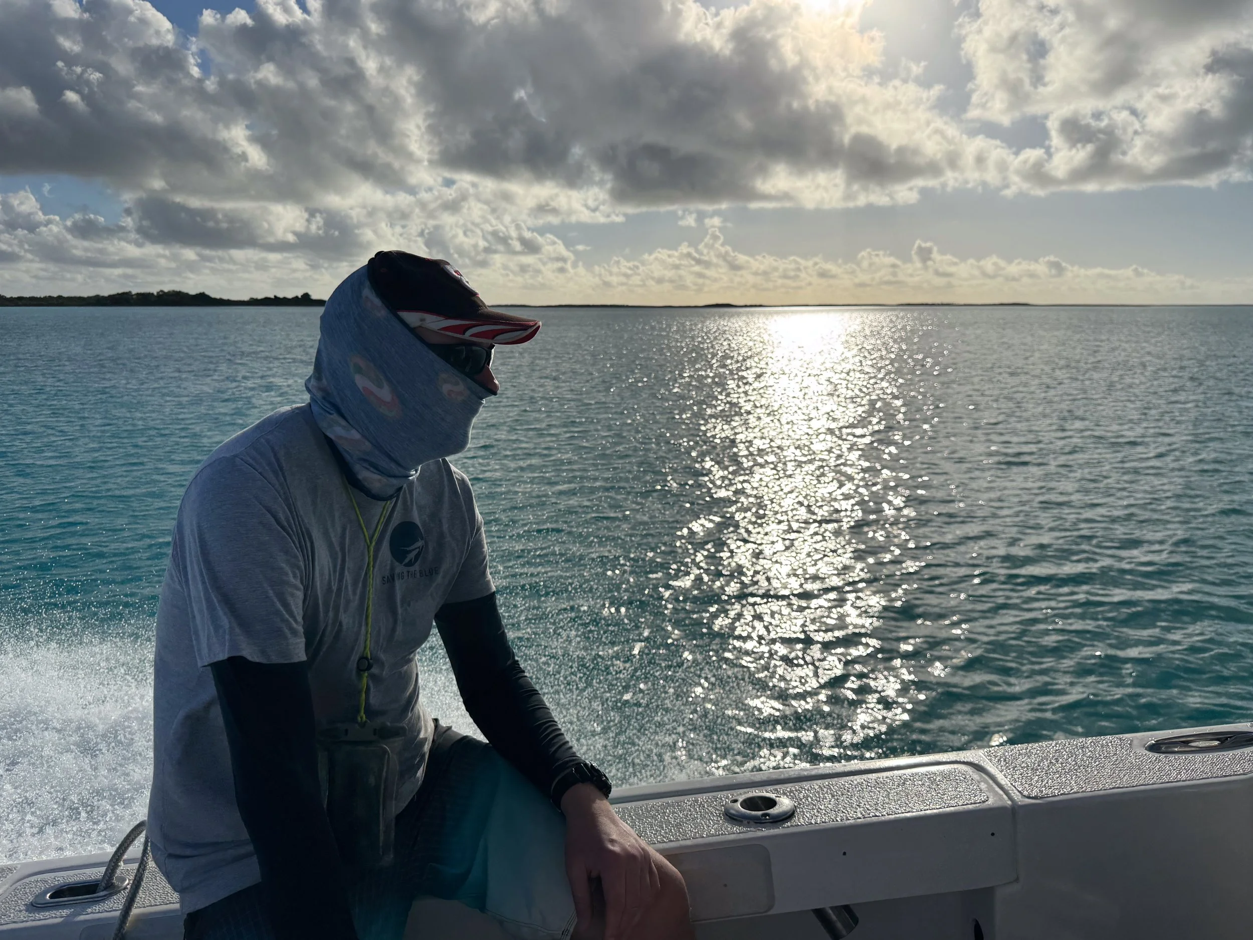 Saving the Blue - 501 c 3 - Nonprofit - Sharks - Shark - Shark Tag - Shark Tagging - Marine Biology - Shark Research - Bahamas - Florida - Shark Researcher - Shark Clothing - Shark Nonprofit - Help Sharks - Save Sharks - Hammerhead - Bull - Tiger