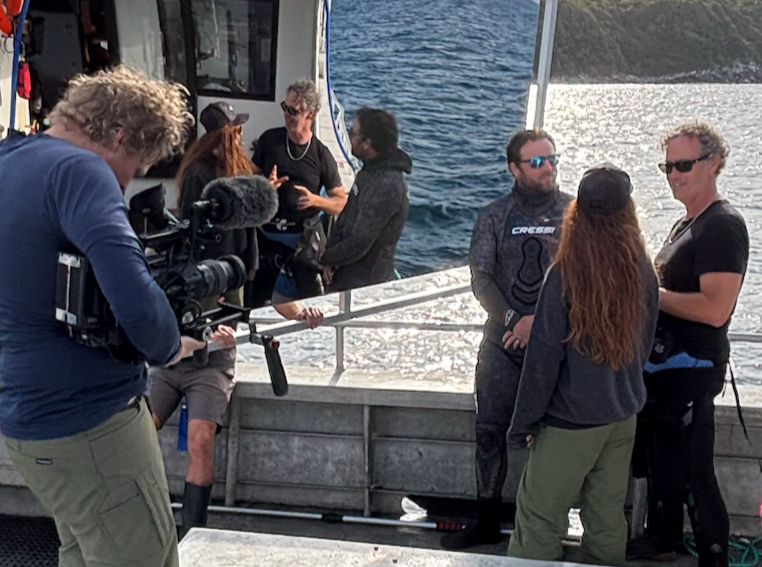 Shark Week - Discovery Channel - Tristan Guttridge - Annie Guttridge - The Bahamas - Hammerhead - Sharks - Shark  - Shark Research - Great White Shark - Film - Filming - Show - Shark Week 2026 - How To Train A Shark