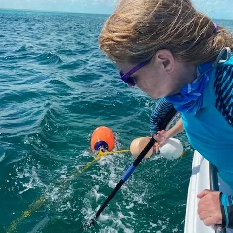 Lori Ann Noordergraaf - Sharks - Shark - Donate - Donation - Obituary - Saving the Blue - Non Profit - Shark Research Station