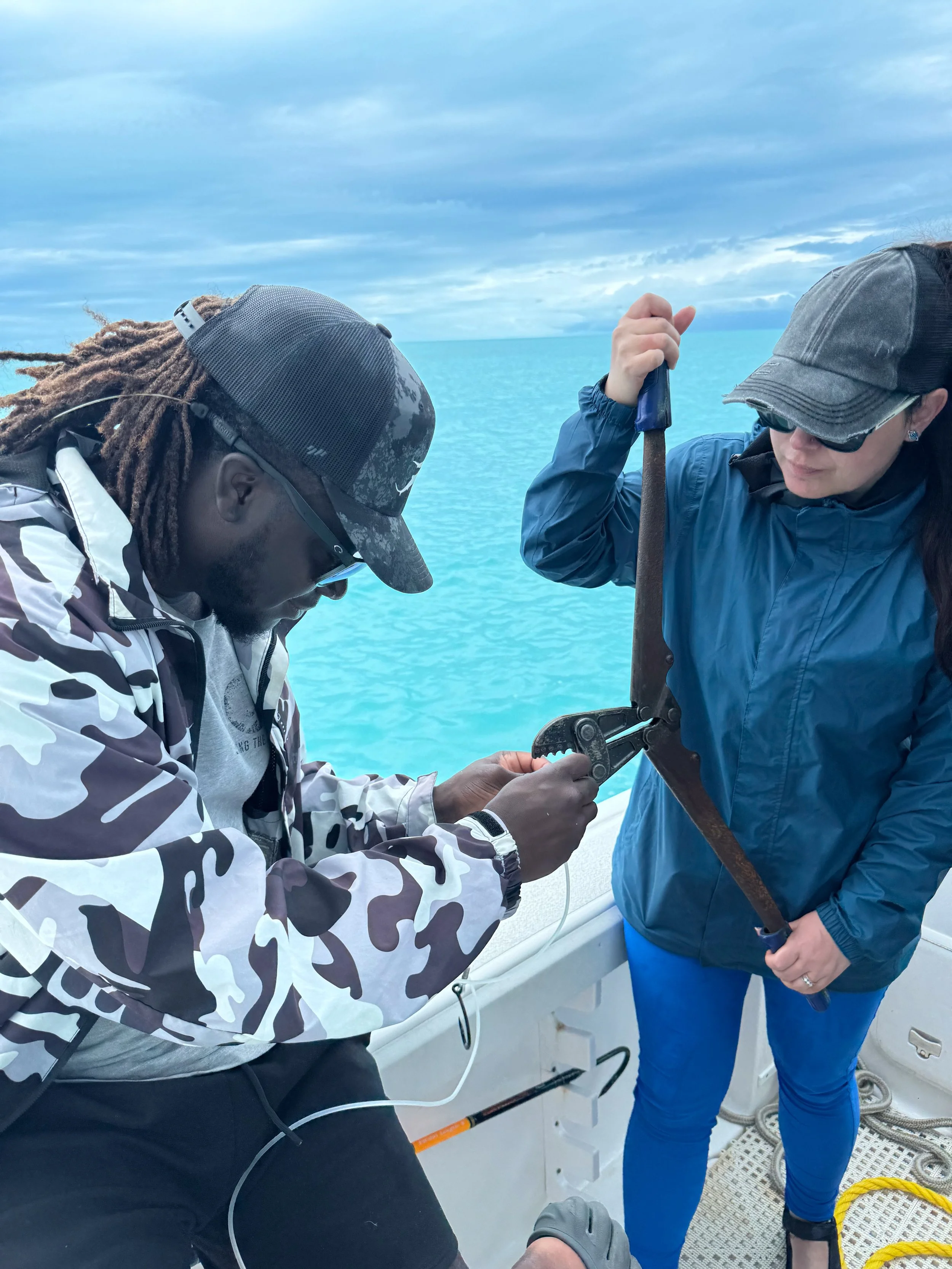 Saving the Blue - 501 c 3 - Nonprofit  - Shark Week - Sharks - Shark - Shark Tag - Shark Tagging - Marine Biology - Marine Bio - Shark Research - Andros - Bahamas - Florida - Fort Lauderdale - Miami