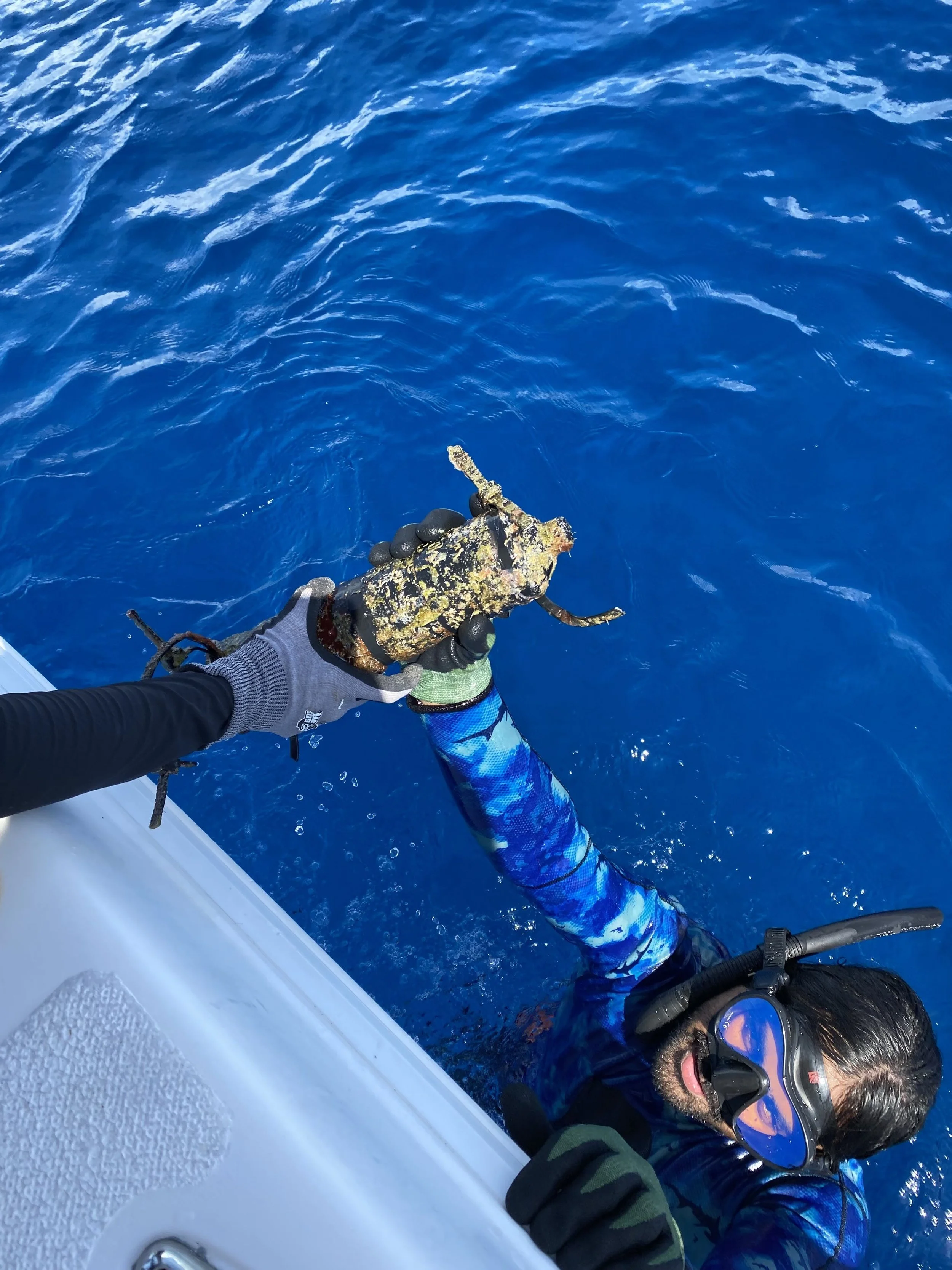 Saving the Blue - 501 c 3 - Nonprofit - Sharks - Shark - Shark Tag - Shark Tagging - Marine Biology - Shark Research - Bahamas - Florida - Shark Researcher - Beach Clean - Shark Nonprofit - Help Sharks - Save Sharks - Hammerhead - Sawfish - Tiger