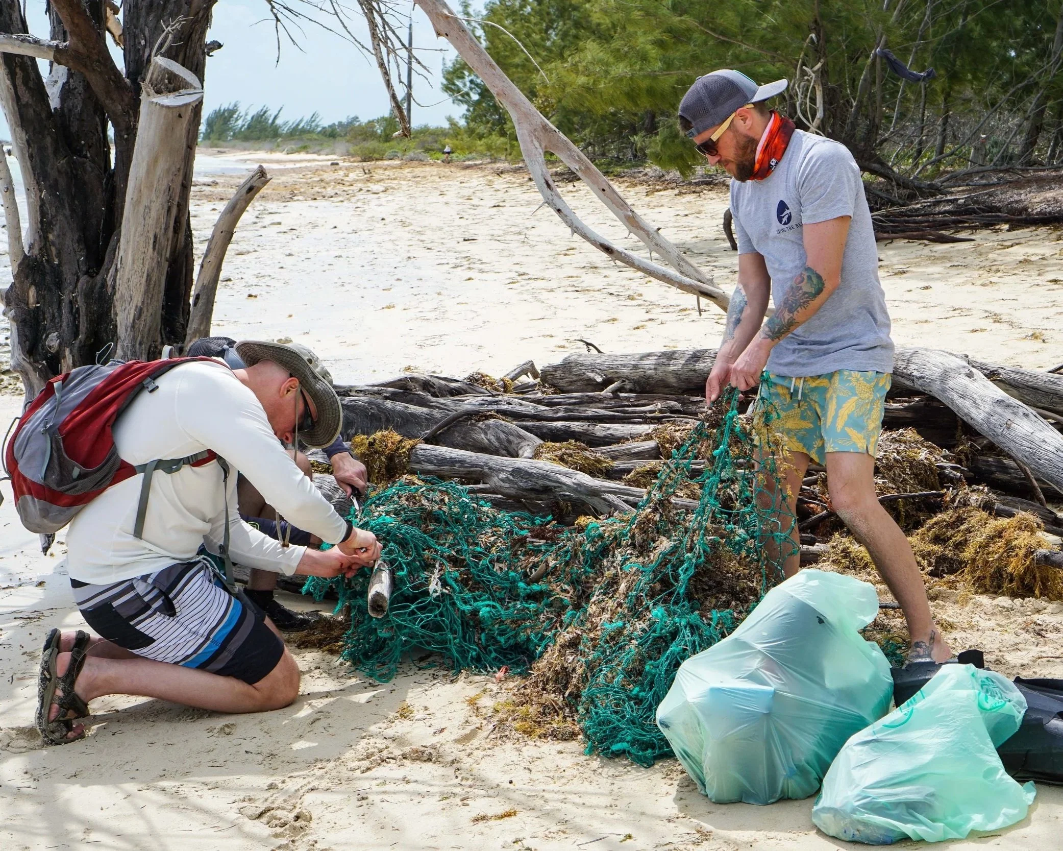 Saving the Blue - Andros Island - Bahamas - Cargill Creek - Behring Point - Lodge - Club - Sharks - Shark - Shark Research - Shark Research Station - Tongue of the Ocean - Fishing - Bonefish - Fish -