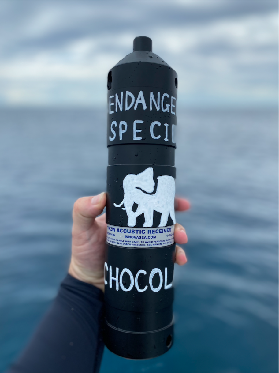 Screenshot 2026-01-21 at 5.24.37 PM.png