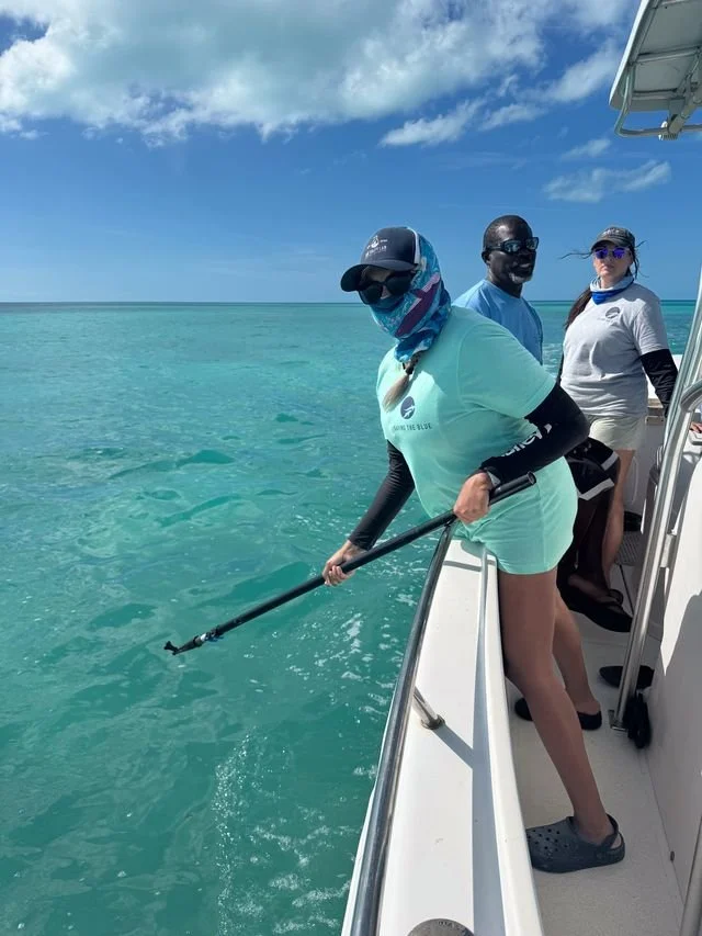 Mint Saving the Blue 1.jpeg