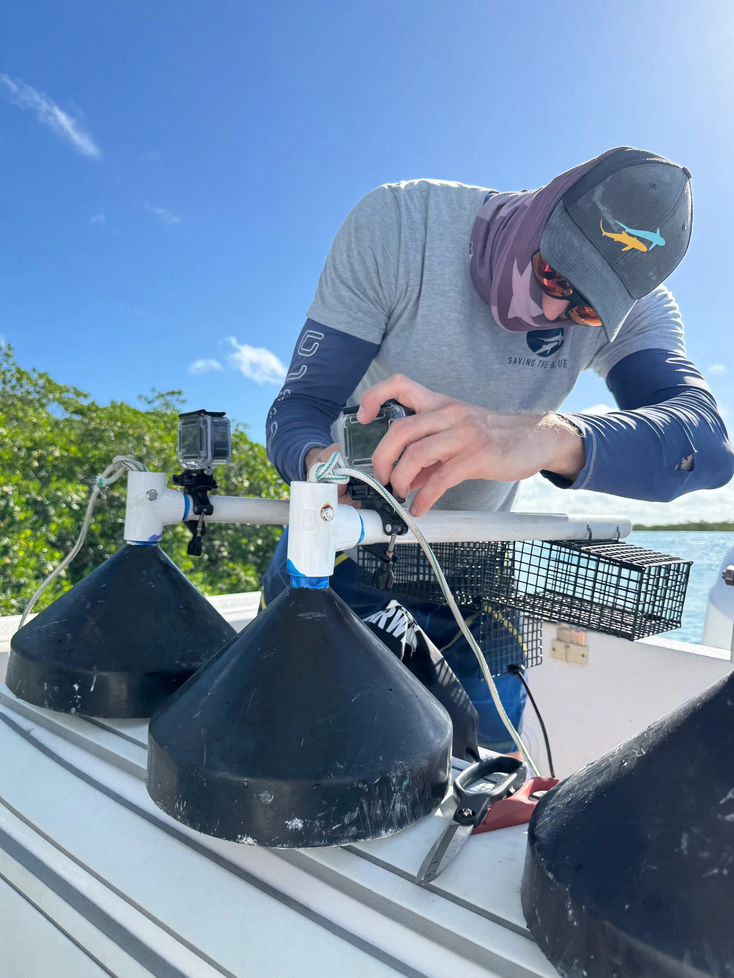 Saving the Blue - 501 c 3 - Nonprofit - Sharks - Shark - Shark Tag - Shark Tagging - Marine Biology - Shark Research - Bahamas - Florida - Shark Researcher - Shark Clothing - Shark Nonprofit - Help Sharks - Save Sharks - Hammerhead - Bull - Tiger