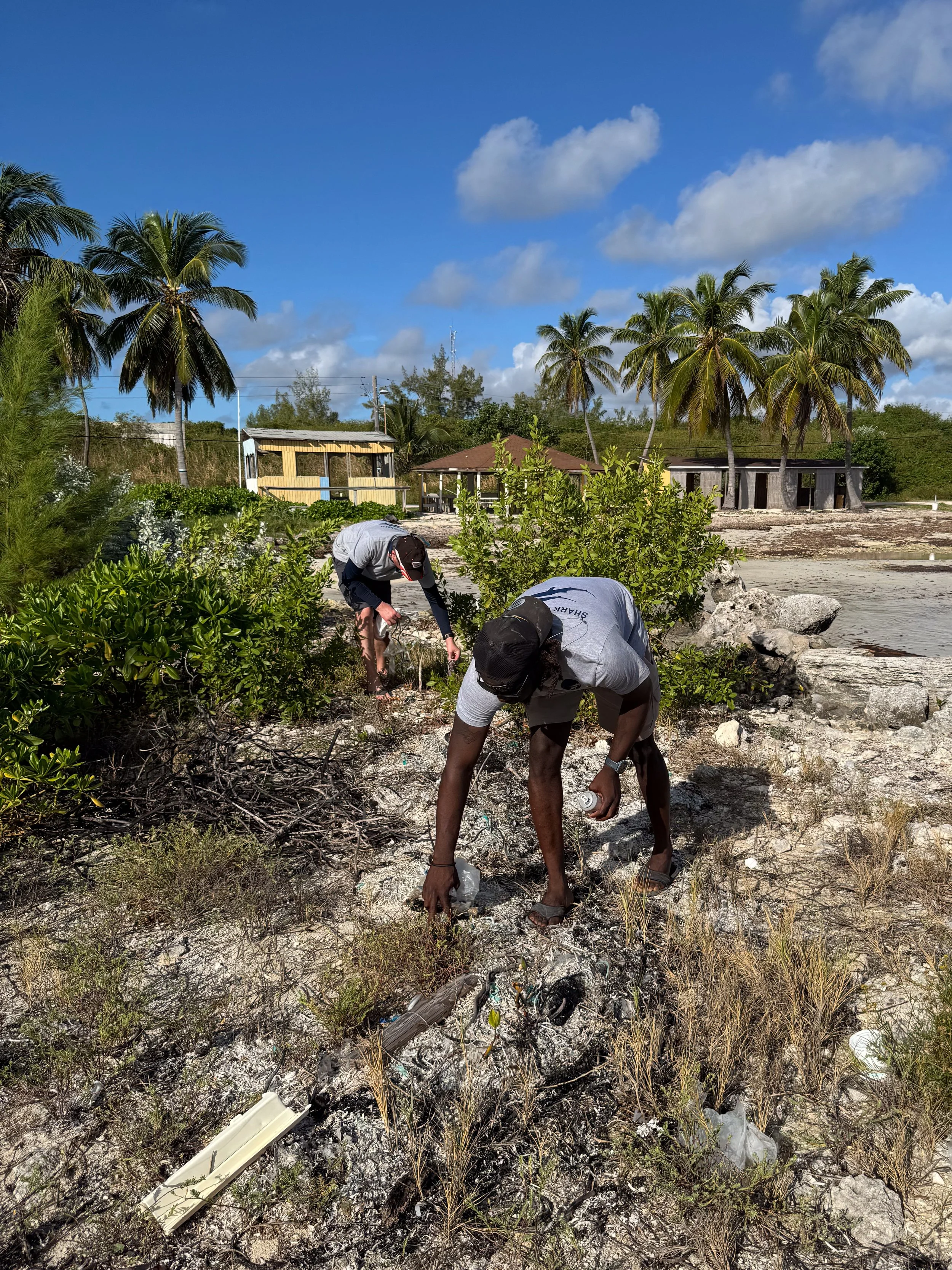 Saving the Blue - 501 c 3 - Nonprofit - Sharks - Shark - Shark Tag - Shark Tagging - Marine Biology - Shark Research - Bahamas - Florida - Shark Researcher - Shark Clothing - Shark Nonprofit - Help Sharks - Save Sharks - Hammerhead - Bull - Tiger