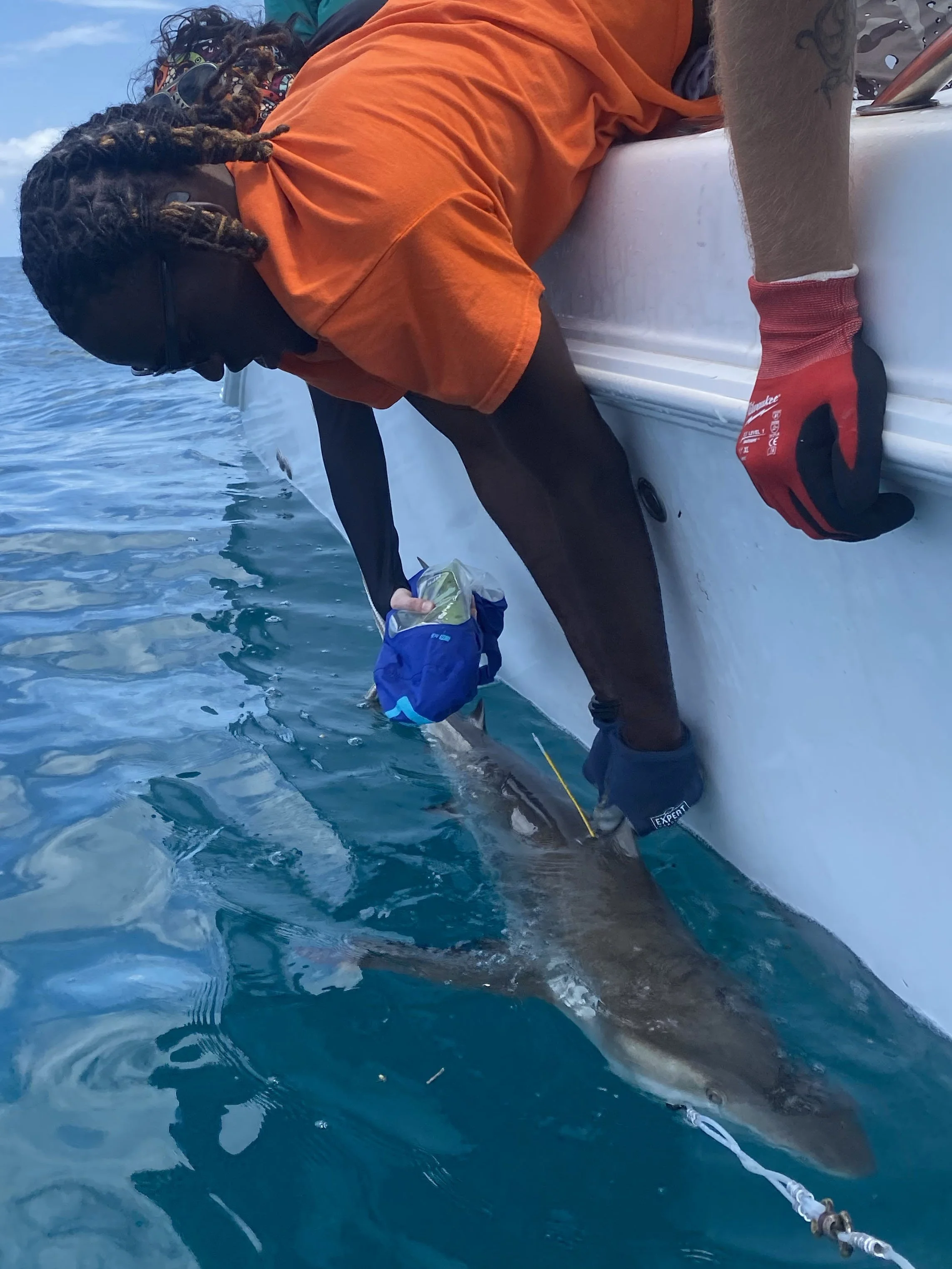 IMG_7011.jpg