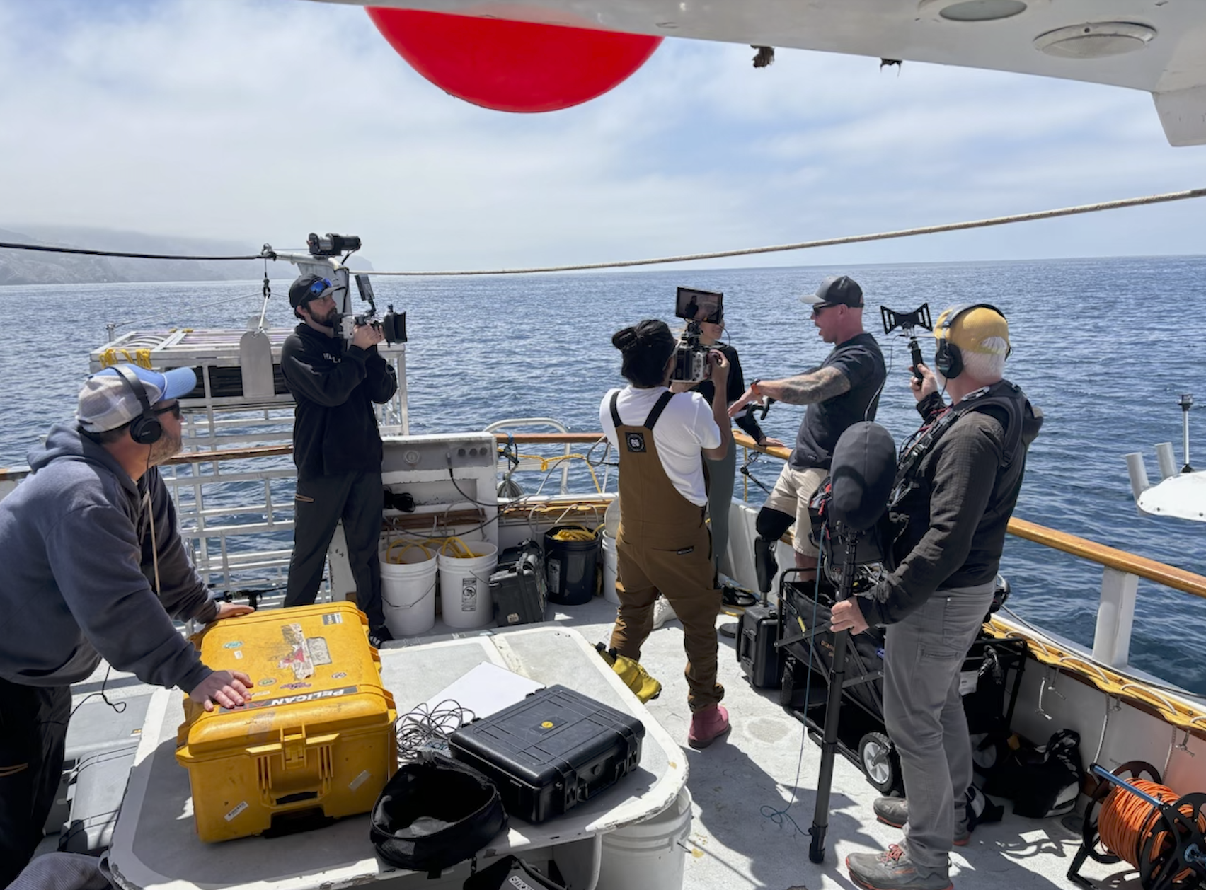 Shark Week - Shark Week 2025 - Saving the Blue - Dr Tristan Guttridge - Black Mako of the Abyss - Mako Shark  - Mako - Shark Diving - Shark - Sharks - Cage Diving - Shark Show - Shark TV - Shark Week Schedule 2025