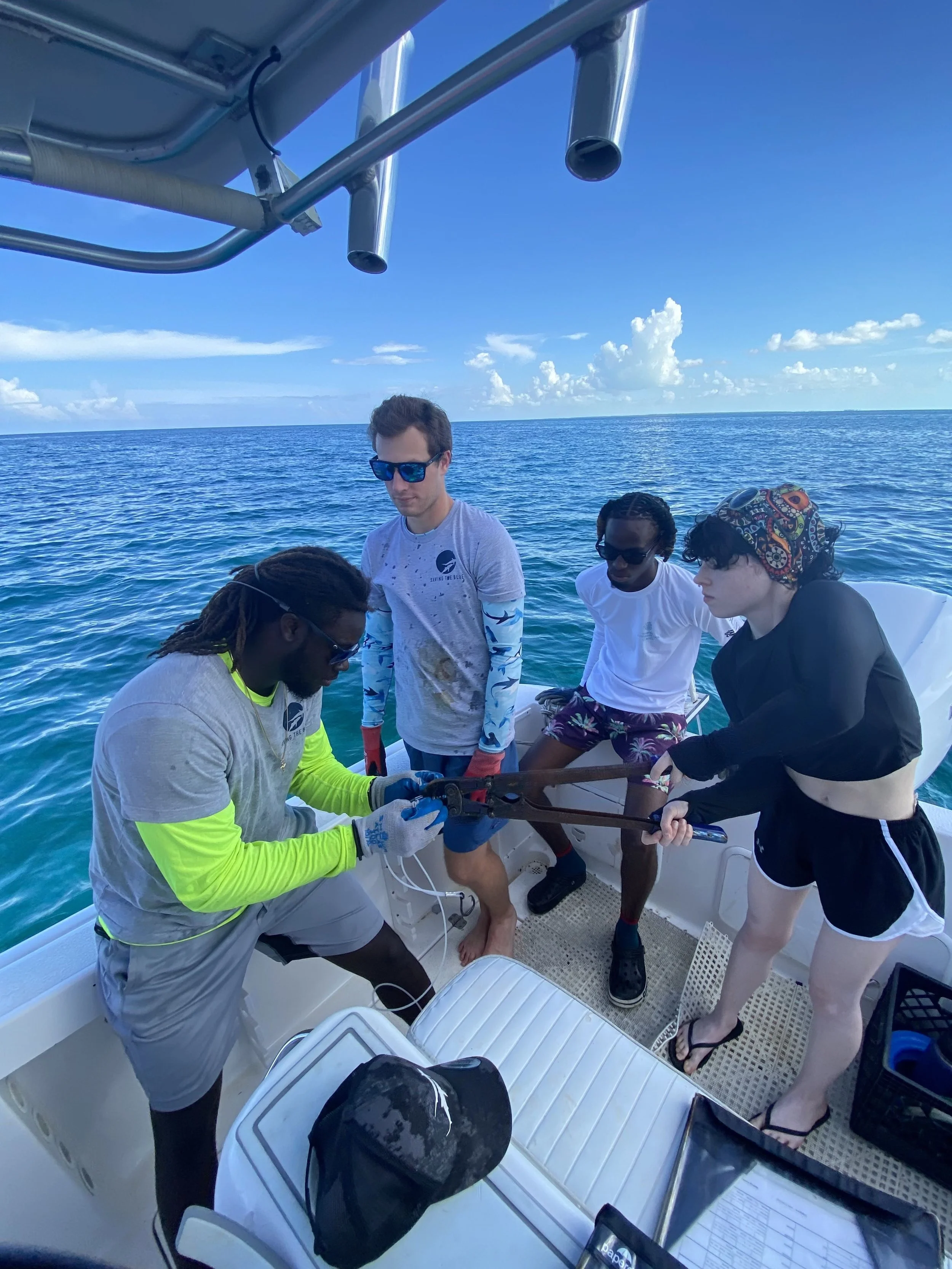 Saving the Blue - 501 c 3 - Nonprofit - Sharks - Shark - Shark Tag - Shark Tagging - Marine Biology - Shark Research - Bahamas - Florida - Shark Researcher - Beach Clean - Shark Nonprofit - Help Sharks - Save Sharks - Hammerhead - Sawfish - Tiger