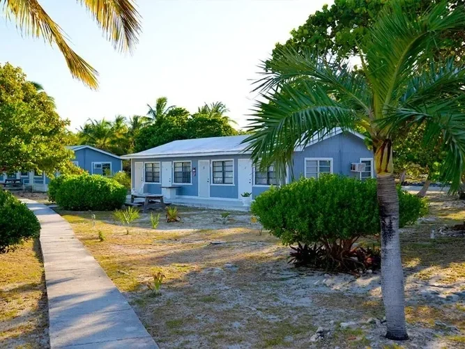Saving the Blue - Andros Island - Bahamas - Cargill Creek - Behring Point - Lodge - Club - Sharks - Shark - Shark Research - Shark Research Station - Tongue of the Ocean - Fishing - Bonefish - Fish -