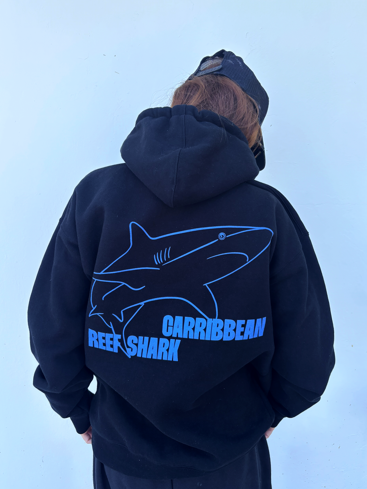 Saving the Blue 6.png