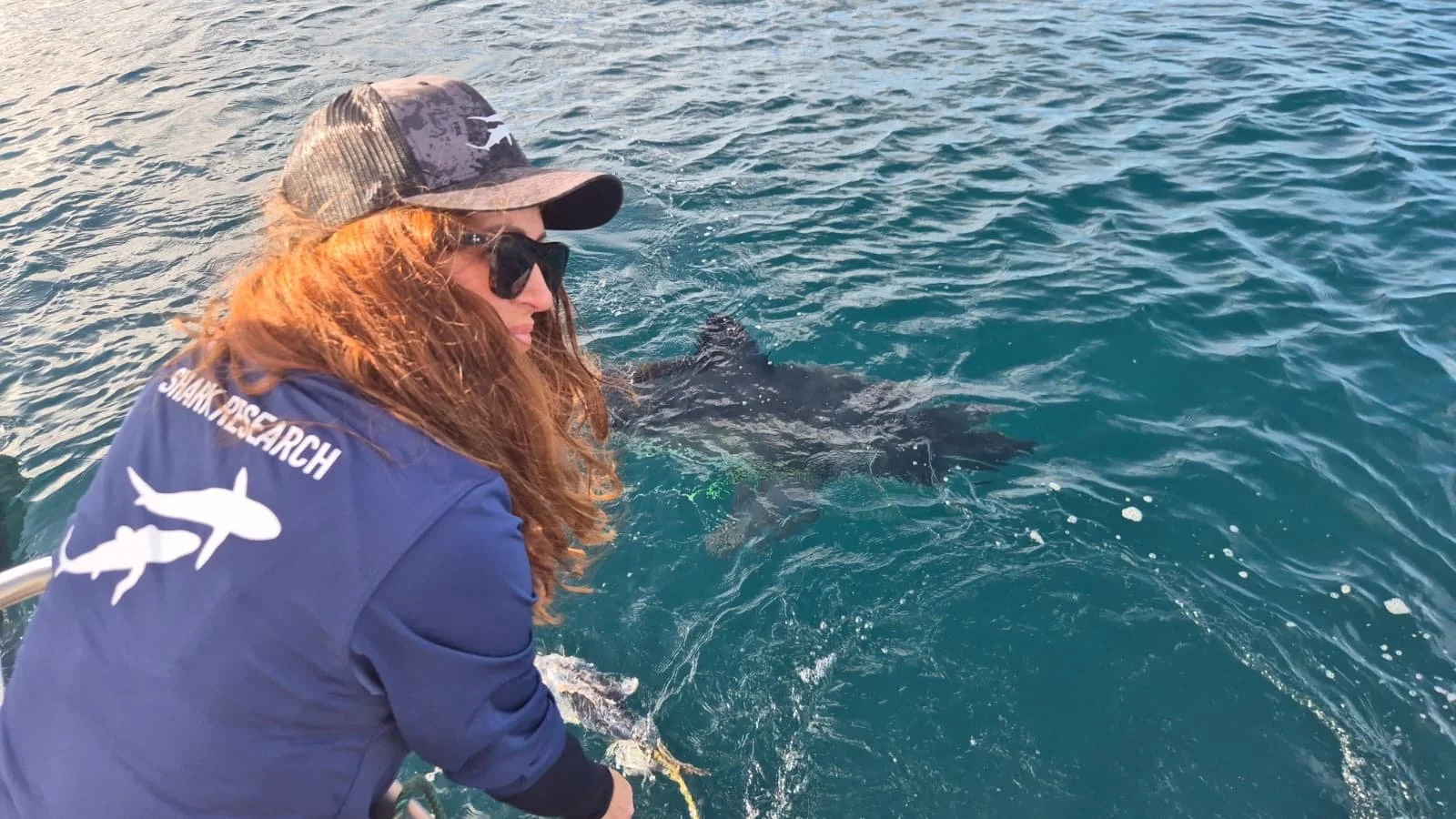 Saving the Blue - Shark Week 2026 - White Shark - Dr - Tristan Guttridge - Annie Guttridge - Sharks - Shark - Shark Clothing - Fish - New Zealand - Shark Week - Red Hair - Woman - Culum Brown - Research - Train a Shark - Sea - Ocean - Filming - JAWS