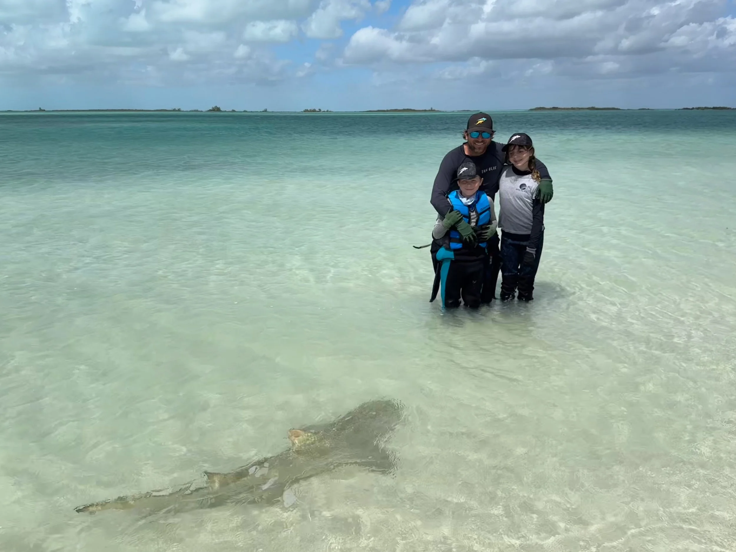 Saving the Blue - 501 c 3 - Nonprofit - Sharks - Shark - Shark Tag - Shark Tagging - Marine Biology - Shark Research - Bahamas - Florida - Shark Researcher - Beach Clean - Shark Nonprofit - Help Sharks - Save Sharks - Hammerhead - Sawfish - Tiger